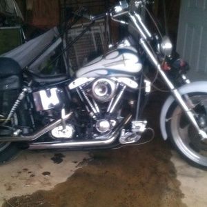 Meet your Posher, Coy